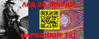 гидра Заводоуковск