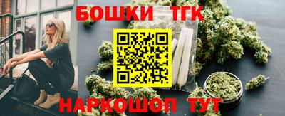 гидра Заводоуковск