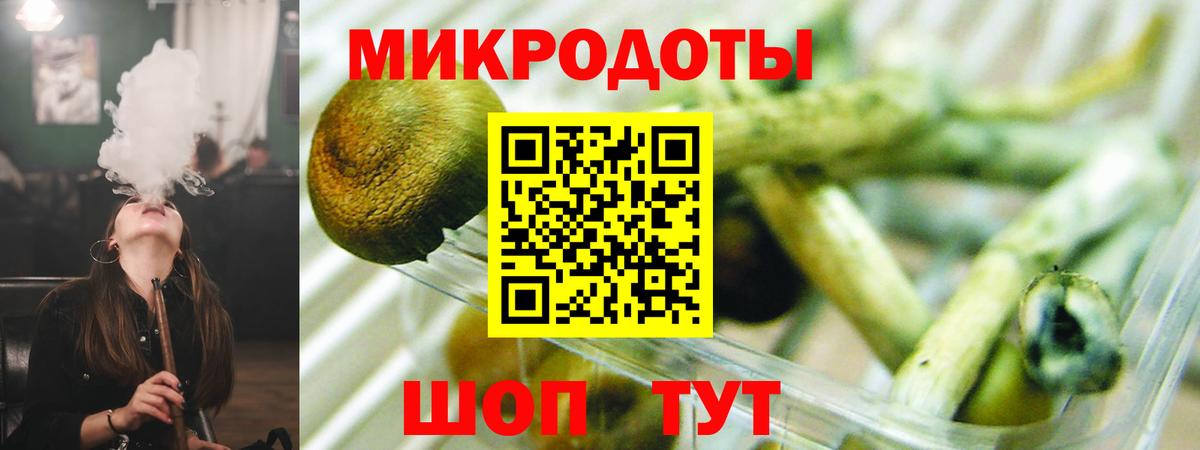 Ливны  Псилоцибиновые грибы Psilocybe  Вход с VPN 